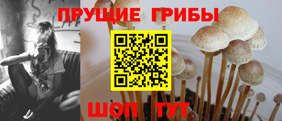 Псилоцибиновые грибы мицелий Златоуст